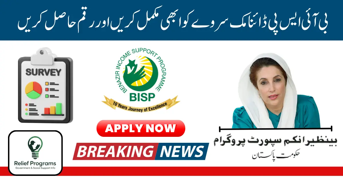 BISP Dynamic Survey
