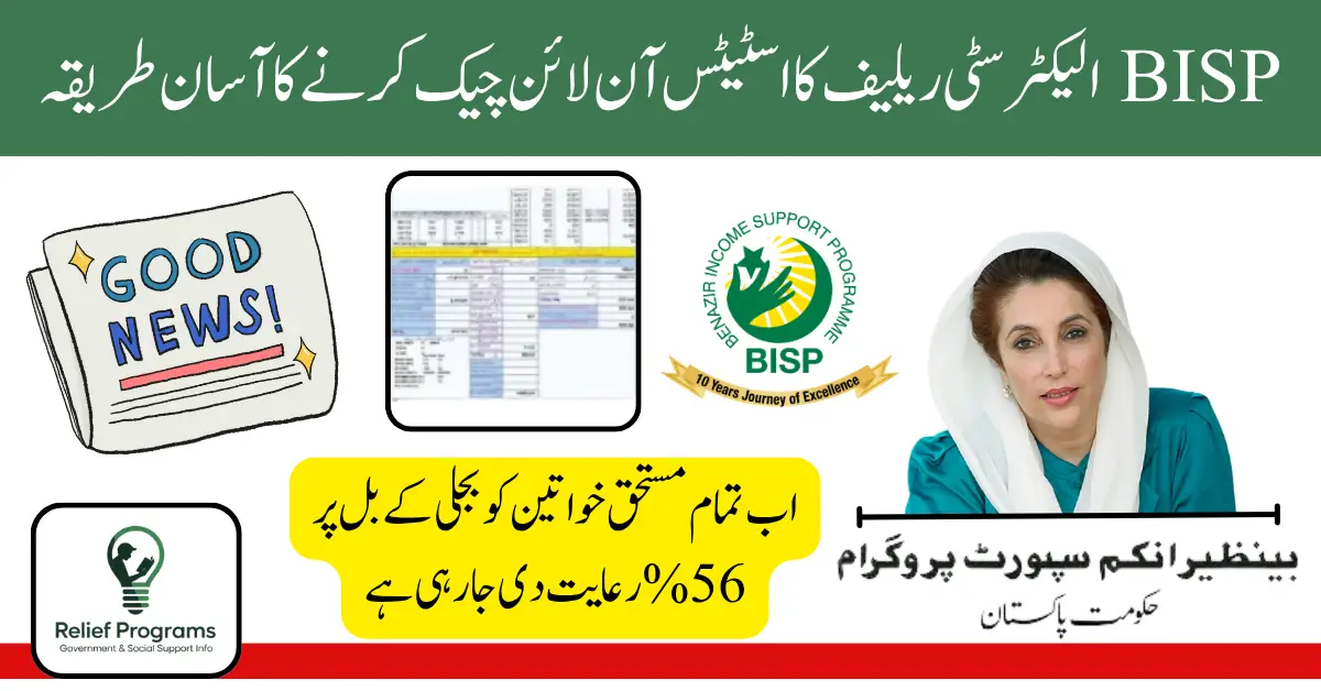 BISP Electricity Relief 2025