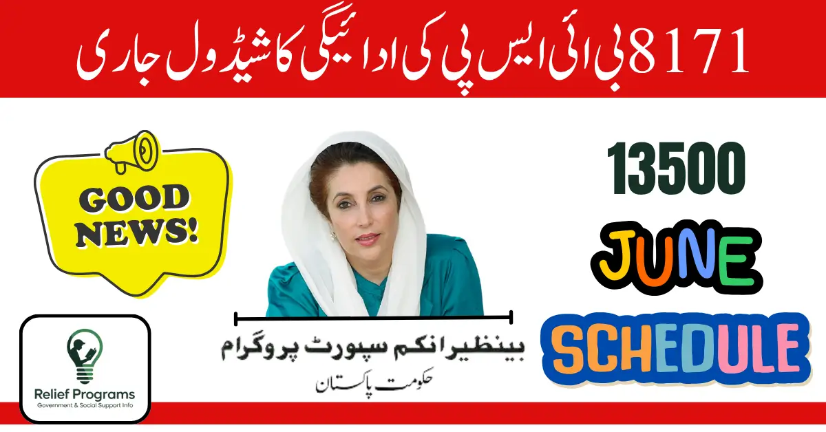 Track Your 8171 BISP 13500 Payment