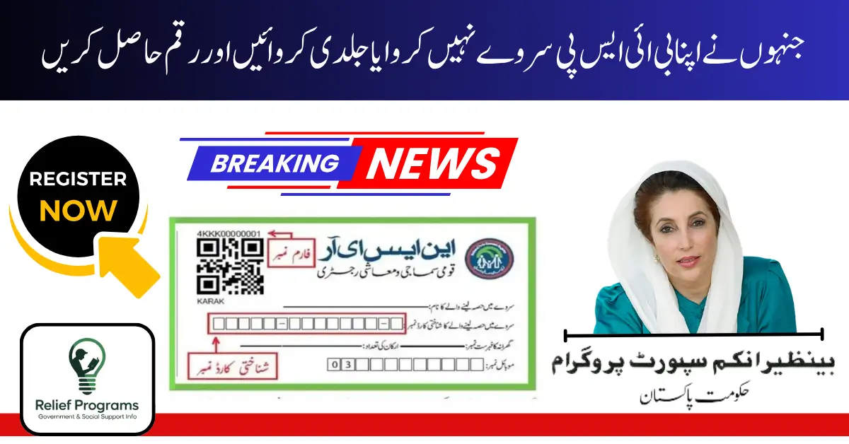 BISP Survey 2025 Update