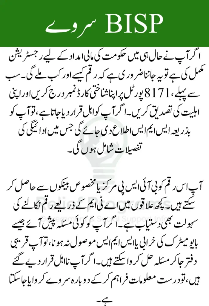 BISP Survey 2025