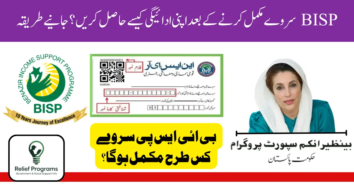 BISP Survey 2025