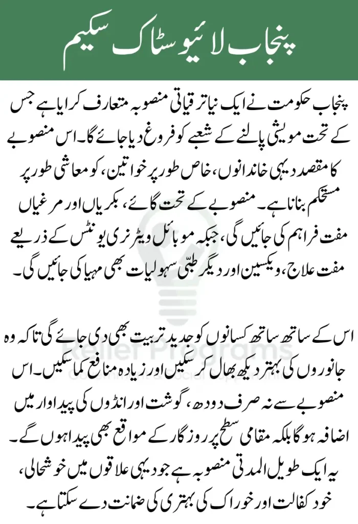 Punjab Livestock Scheme